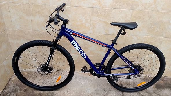 BICICLETA R29