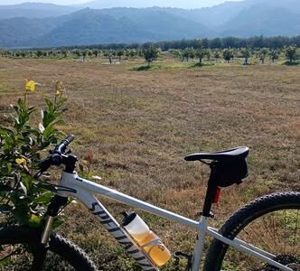 Specialiced Rochooper Comp talle M