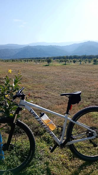 Specialiced Rochooper Comp talle M