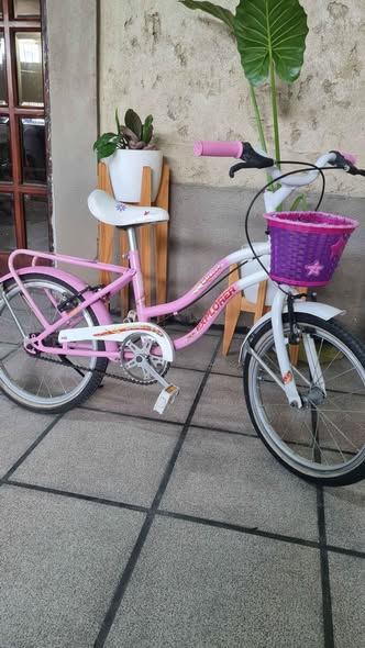 Vendo bicicleta rodado 16