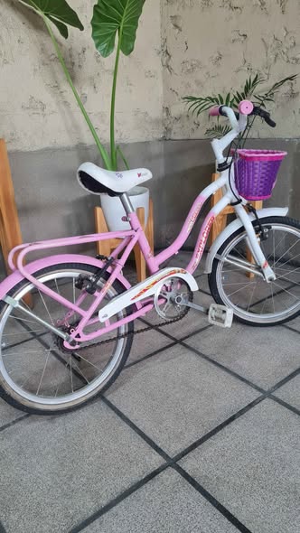 Vendo bicicleta rodado 16