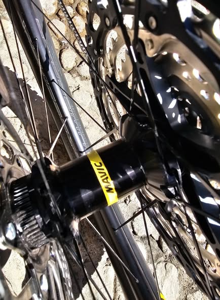 ZENITH SAGA 29" COMP CARBONO TALLE M