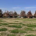 VENTA LOTE PREMIUM 1250m2