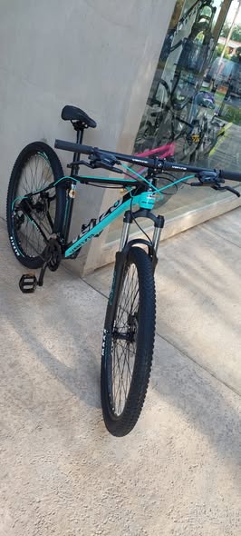 Venzo amphion (edicion limited) M