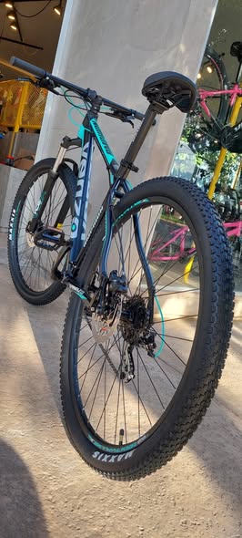 Venzo amphion (edicion limited) M