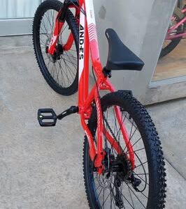 Bicicleta And-es Rodado 24