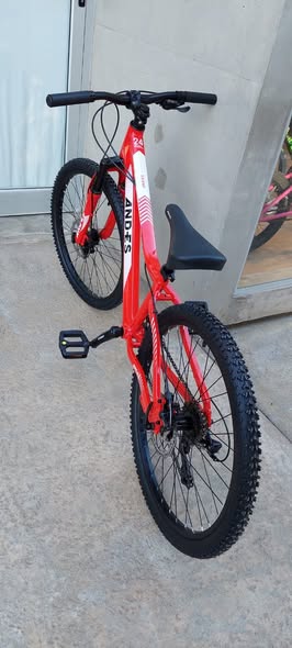Bicicleta And-es Rodado 24
