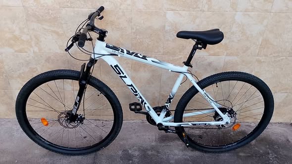 BICICLETA R29
