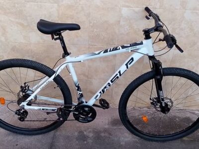 BICICLETA R29