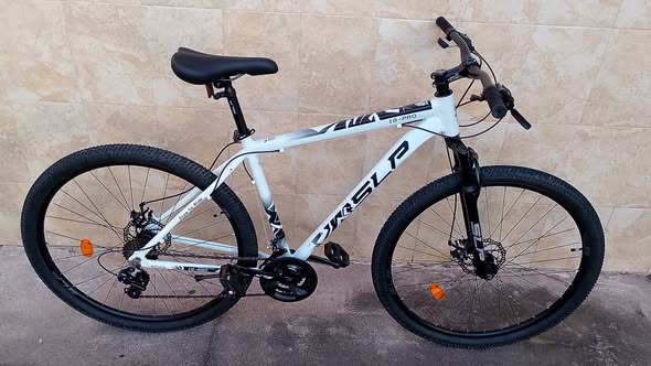 BICICLETA R29