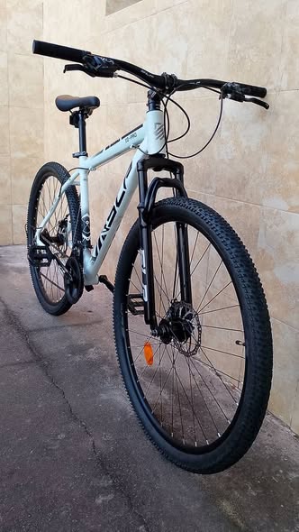 BICICLETA R29