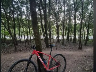 Zion strix Transmisión 1x11 Itwoo