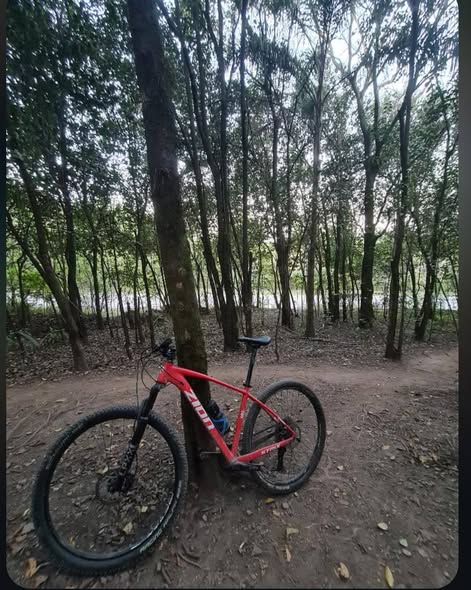 Zion strix Transmisión 1x11 Itwoo