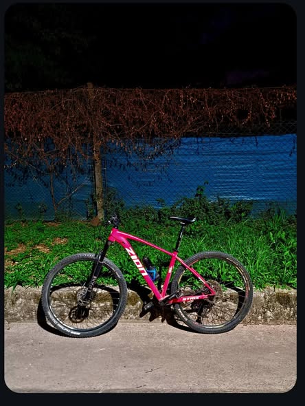 Zion strix Transmisión 1x11 Itwoo