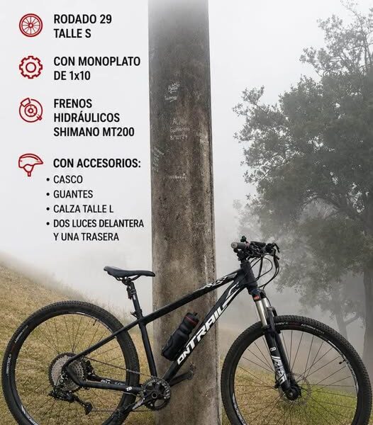Bicicleta Fire Bird Ontrail