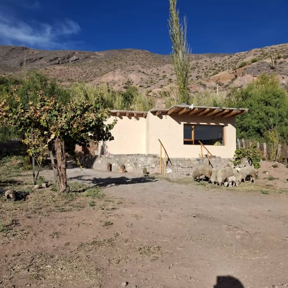 Alquilo cabaña en tilcara