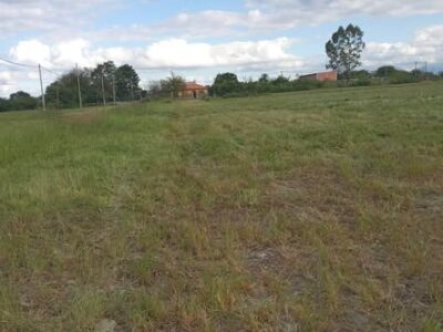 Dueño vende terrenos de 10x25 cada uno en Punto Oeste
