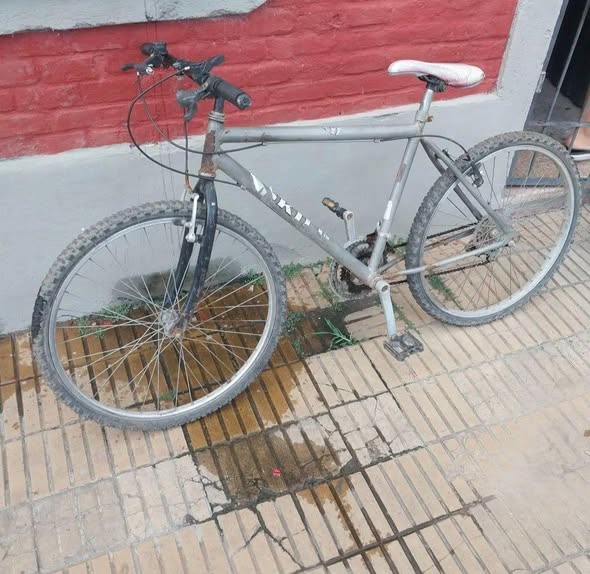 Bicicleta R26