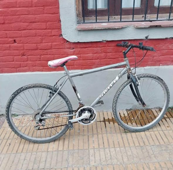 Bicicleta R26