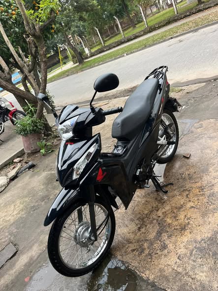 Vendo wave 2024