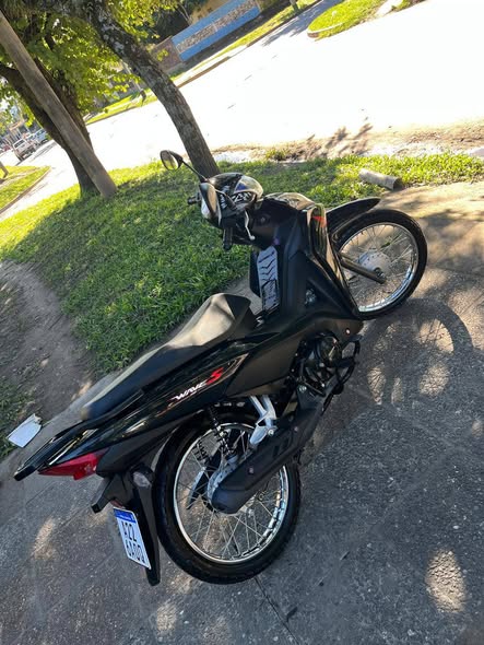 Vendo wave 2024