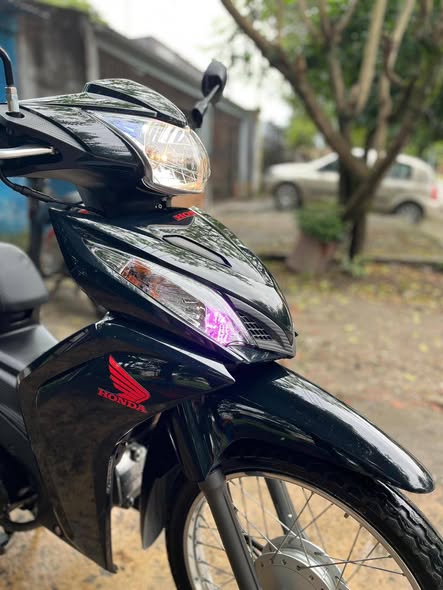 Vendo wave 2024