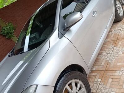 Fluence dinamiique 2013