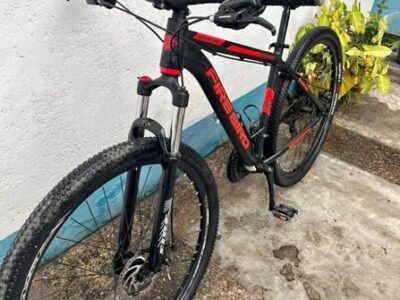Vendo Firebird rodado 29
