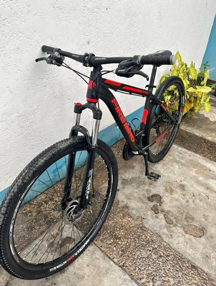 Vendo Firebird rodado 29