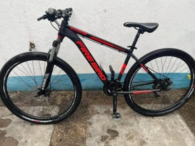 Vendo Firebird rodado 29