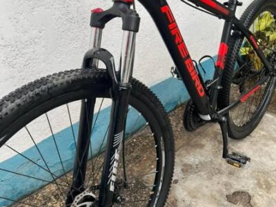 Vendo Firebird rodado 29