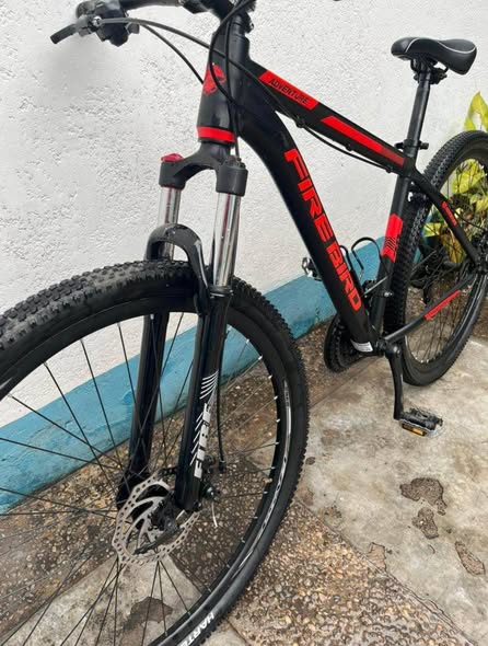 Vendo Firebird rodado 29