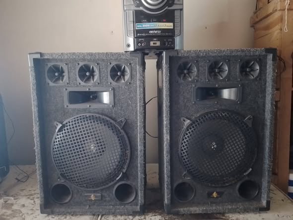 Vendo parlantes del 12