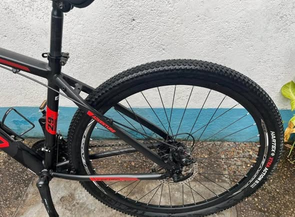 Vendo Firebird rodado 29