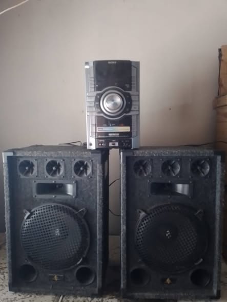 Vendo parlantes del 12
