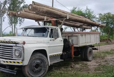 Camion grua ford 600 Año 1969