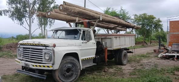 Camion grua ford 600 Año 1969