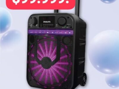 PARLANTES PHILIPS 10 PULGADAS