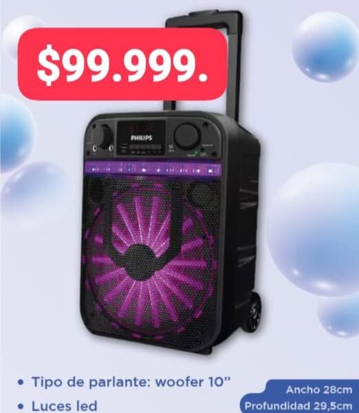 PARLANTES PHILIPS 10 PULGADAS