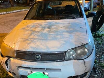 Fiat Palio Modelo 2008
