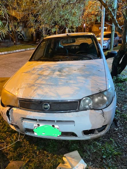 Fiat Palio Modelo 2008