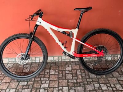 Bicicleta Benelli Pro Carbón R29