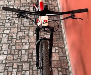 Bicicleta Benelli Pro Carbón R29