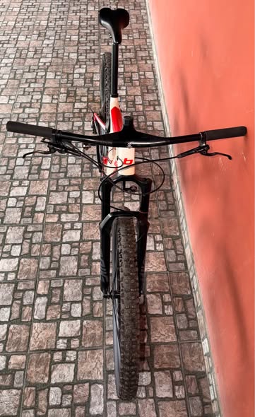 Bicicleta Benelli Pro Carbón R29