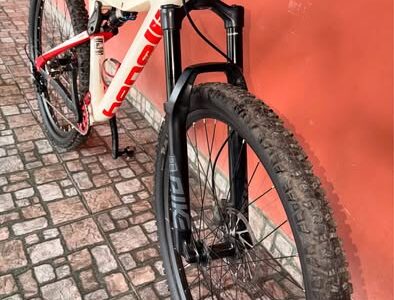 Bicicleta Benelli Pro Carbón R29
