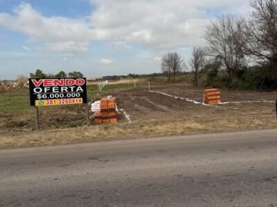 Nuevo loteo en la ramada de abajo