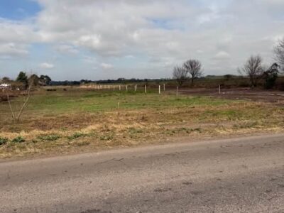 Nuevo loteo en la ramada de abajo