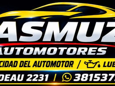 Casmuz Automotores Mecanica Integral Electricidad del Automotor