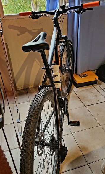 Firebird rod 29 talle L