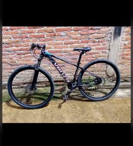 Permuto una 110 y una Venzo original 29 impecable